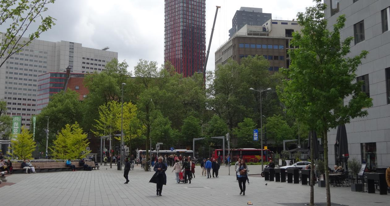 Foto van de stad Boom